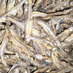Anchovy Dry Fish (நெத்திலி மீன் கருவாடு)