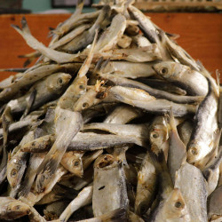 Muthakendai Podi Karuvadu (முத்தகெண்டை பொடி கருவாடு)